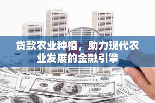 民和贷款农业种植，助力现代农业发展的金融引擎