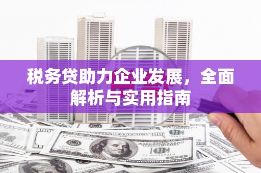民和税务贷助力企业发展，全面解析与实用指南