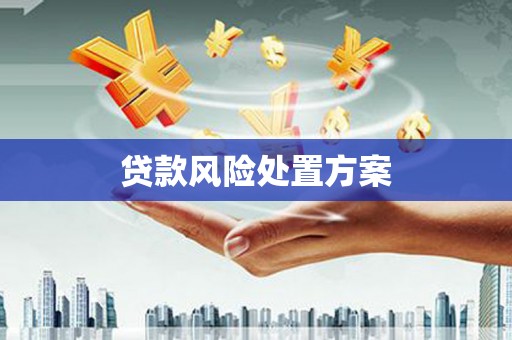 民和贷款风险处置方案