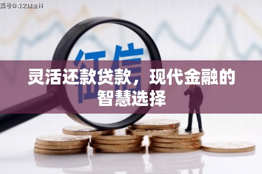 民和灵活还款贷款，现代金融的智慧选择