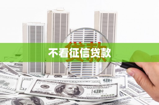 民和不看征信贷款