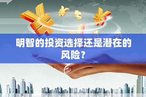 民和明智的投资选择还是潜在的风险？