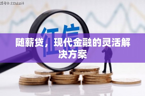 民和随薪贷，现代金融的灵活解决方案