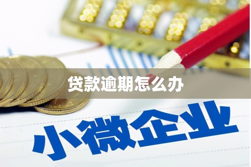 民和贷款逾期怎么办