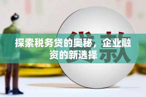 民和探索税务贷的奥秘，企业融资的新选择
