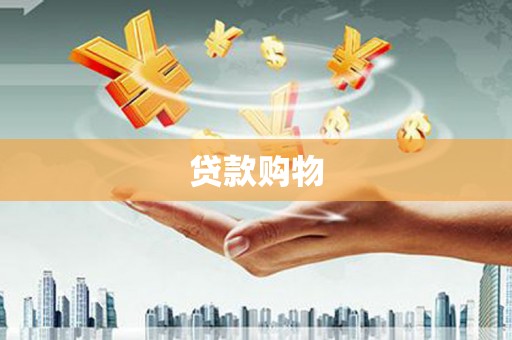 民和贷款购物