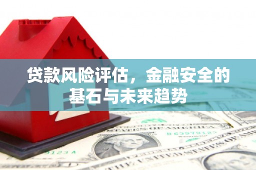 民和贷款风险评估，金融安全的基石与未来趋势