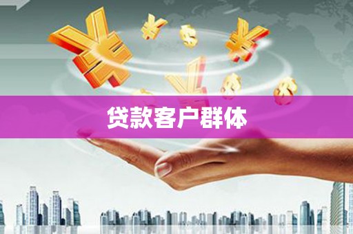 民和贷款客户群体