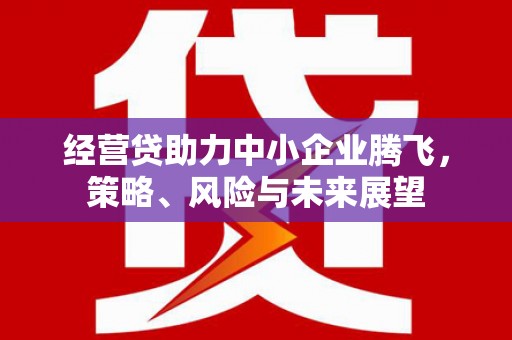 民和经营贷助力中小企业腾飞，策略、风险与未来展望