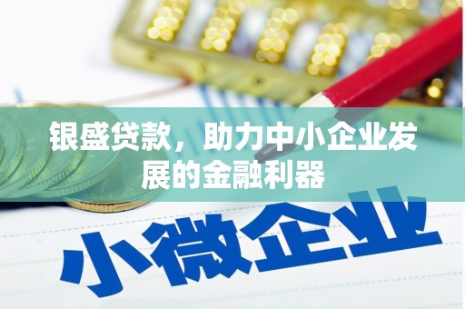 民和银盛贷款，助力中小企业发展的金融利器