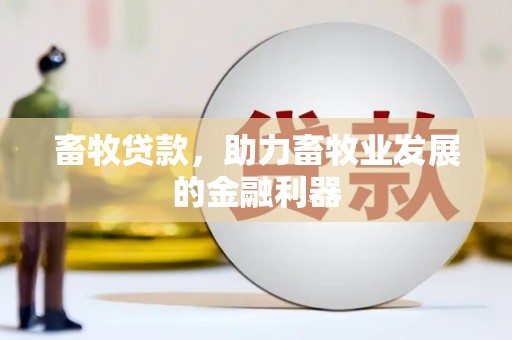 民和畜牧贷款，助力畜牧业发展的金融利器