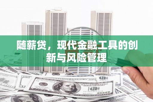 民和随薪贷，现代金融工具的创新与风险管理