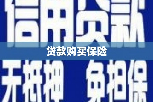 民和贷款购买保险