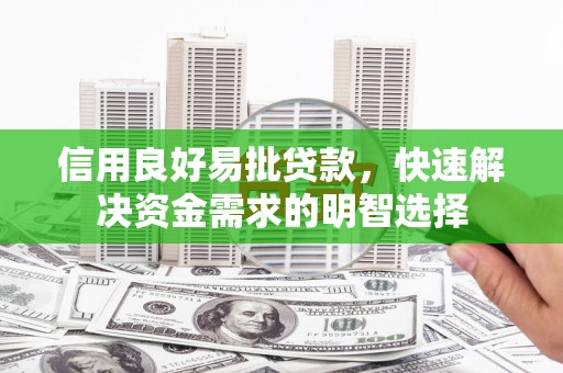 民和信用良好易批贷款，快速解决资金需求的明智选择