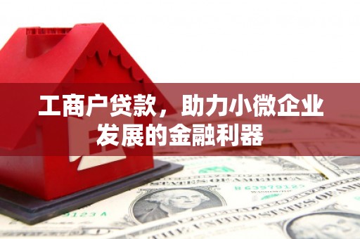 民和工商户贷款，助力小微企业发展的金融利器