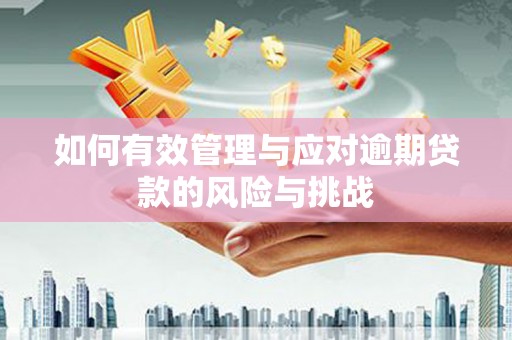 民和如何有效管理与应对逾期贷款的风险与挑战