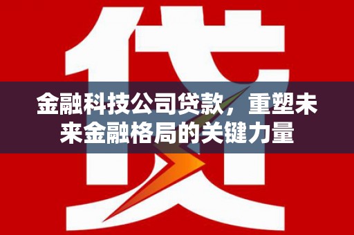 民和金融科技公司贷款，重塑未来金融格局的关键力量