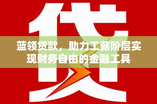 民和蓝领贷款，助力工薪阶层实现财务自由的金融工具