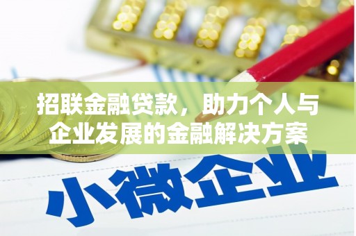 民和招联金融贷款，助力个人与企业发展的金融解决方案