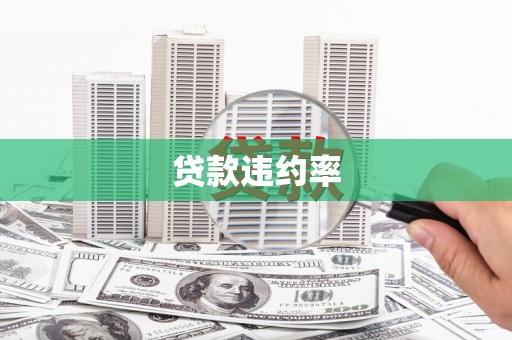民和贷款违约率