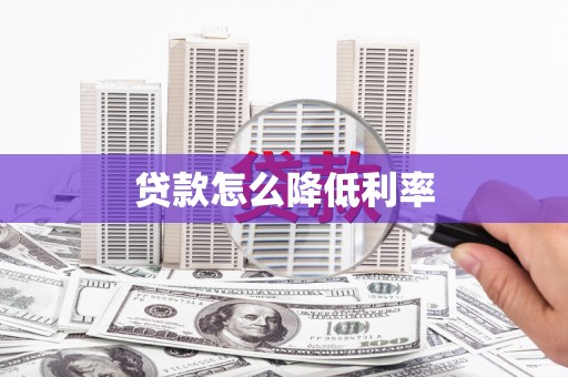 民和贷款怎么降低利率
