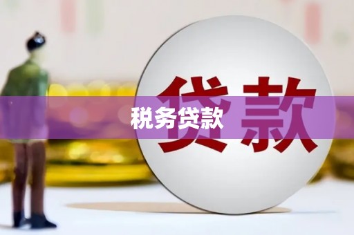 民和税务贷款