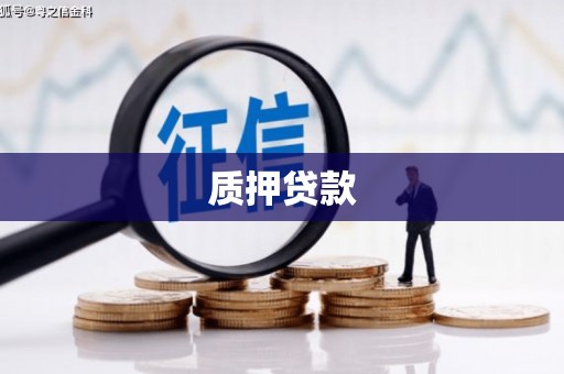 民和质押贷款
