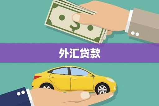 民和外汇贷款