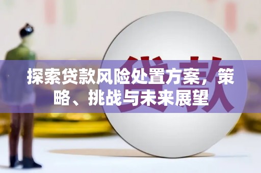 民和探索贷款风险处置方案，策略、挑战与未来展望