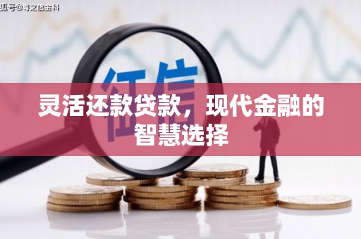 民和灵活还款贷款，现代金融的智慧选择