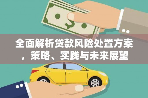 民和全面解析贷款风险处置方案，策略、实践与未来展望