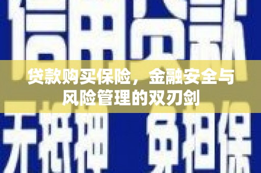民和贷款购买保险，金融安全与风险管理的双刃剑