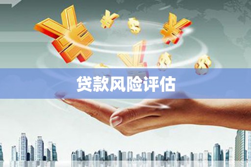 民和贷款风险评估