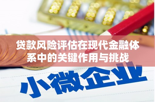 民和贷款风险评估在现代金融体系中的关键作用与挑战