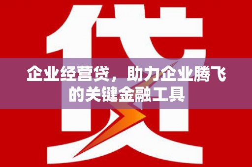 民和企业经营贷，助力企业腾飞的关键金融工具