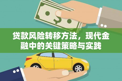 民和贷款风险转移方法，现代金融中的关键策略与实践