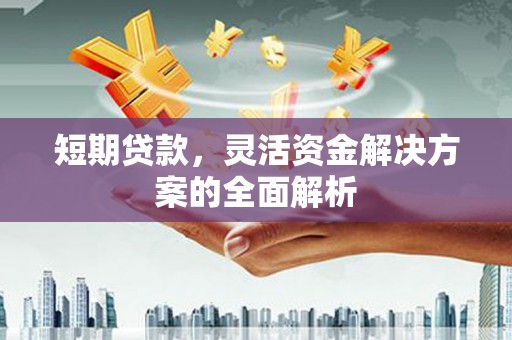 民和短期贷款，灵活资金解决方案的全面解析
