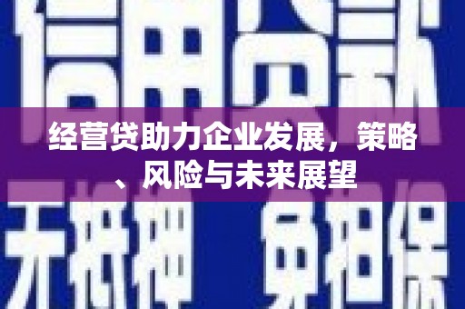 民和经营贷助力企业发展，策略、风险与未来展望