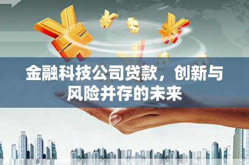民和金融科技公司贷款，创新与风险并存的未来