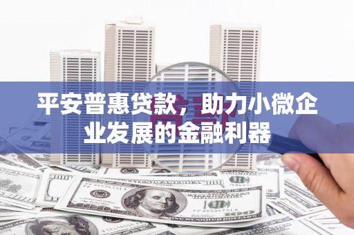 民和平安普惠贷款，助力小微企业发展的金融利器