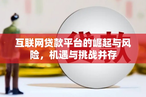 民和互联网贷款平台的崛起与风险，机遇与挑战并存