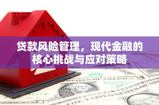 民和贷款风险管理，现代金融的核心挑战与应对策略