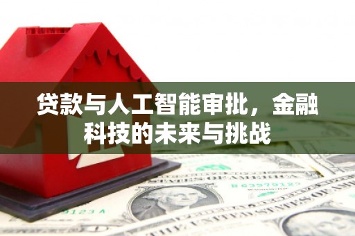 民和贷款与人工智能审批，金融科技的未来与挑战
