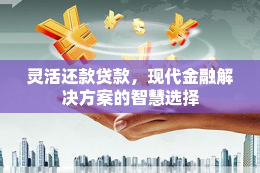 民和灵活还款贷款，现代金融解决方案的智慧选择