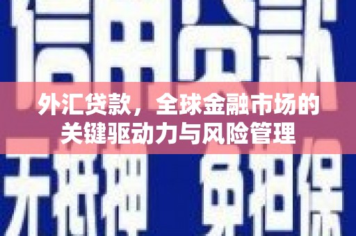 民和外汇贷款，全球金融市场的关键驱动力与风险管理
