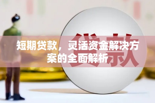 民和短期贷款，灵活资金解决方案的全面解析