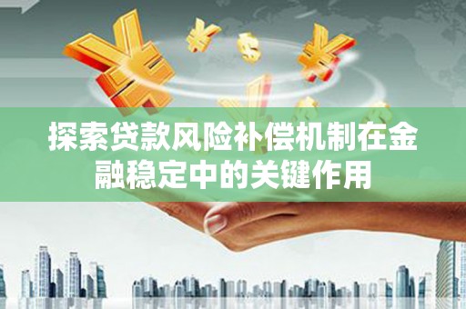 民和探索贷款风险补偿机制在金融稳定中的关键作用