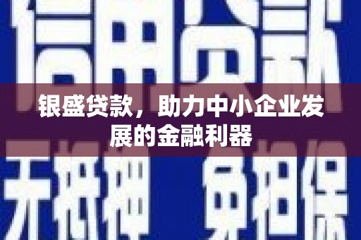 民和银盛贷款，助力中小企业发展的金融利器