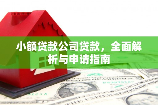 民和小额贷款公司贷款，全面解析与申请指南