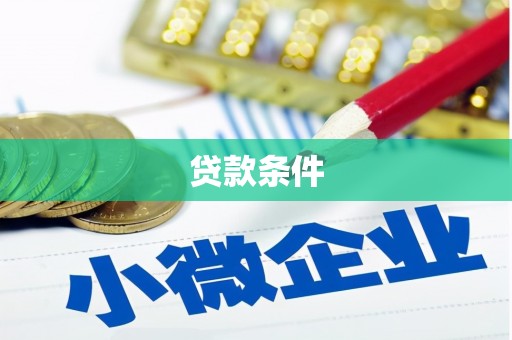 民和贷款条件
